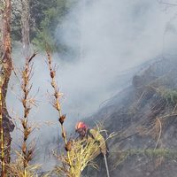 Trabajan para contener el incendio forestal en Valle Magdalena, que ya afectó más de 22.000 hectáreas