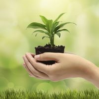 Cómo cuidar el medioambiente en nuestra cocina
