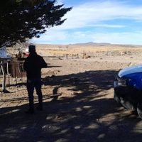 Mató a puñaladas a su expareja e hirió al joven que la acompañaba; lo detuvieron poco después