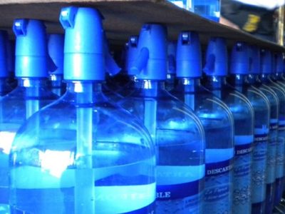 Con un sifón de soda, creá la maceta más linda y deco para tus plantas colgantes