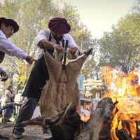 Tradición, fuego y río: el pueblo de la Patagonia que celebra a lo grande la Fiesta del Jabalí al Asador
