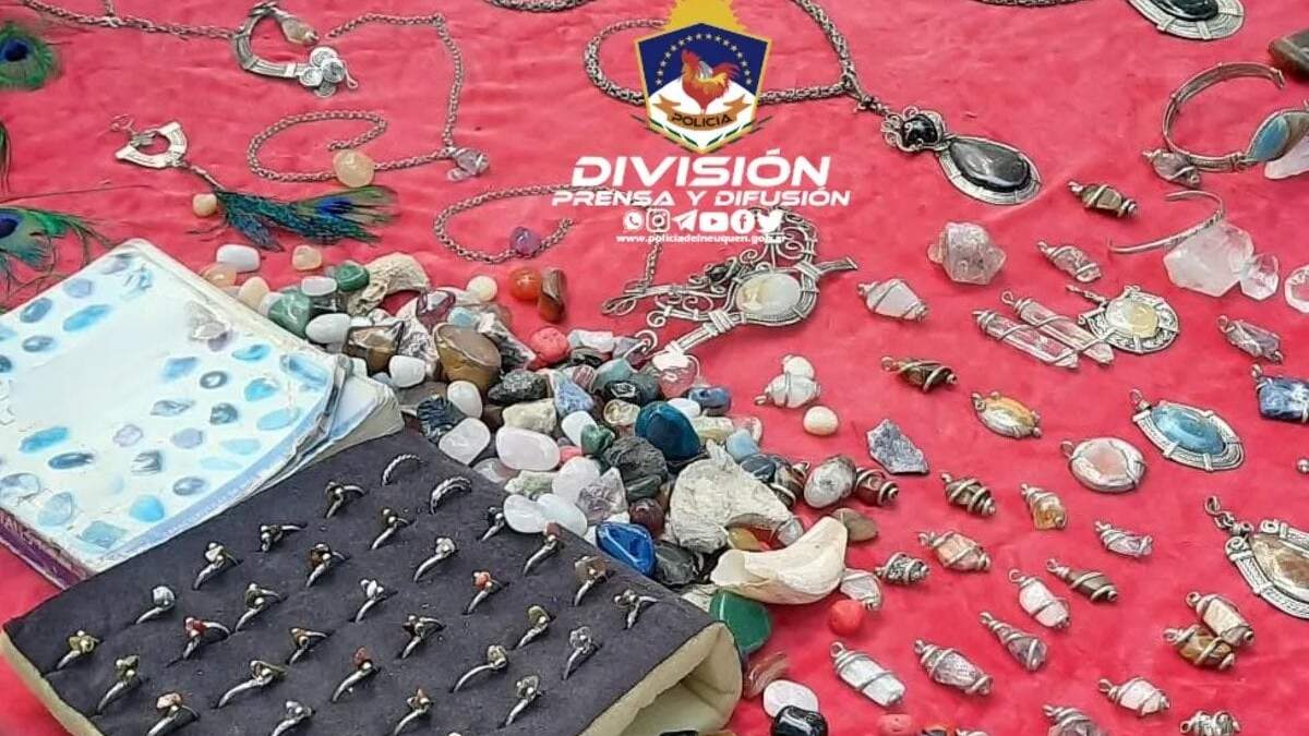 Piezas Fósiles secuestradas en el operativo policial. Fuente (Policia de Neuquén).