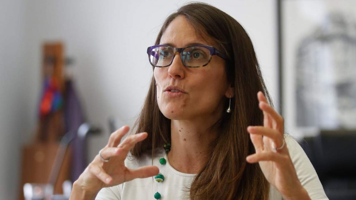 La ministra de Mujeres, Géneros y Diversidad, Elisabeth Gómez Alcorta. Fuente: (Twitter)