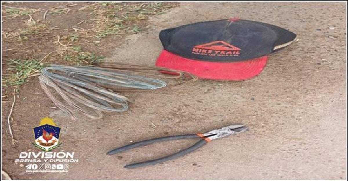 Cables y elementos secuestrados por la Policía de Neuquén. Fuente: (Policía de Neuquén)