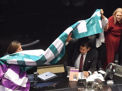 Morena incumple acuerdo y rechaza a Ricardo Salgado como comisionado del INAI