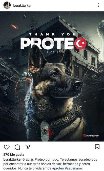 Un diseñador gráfico turco le hizo este homenaje a Proteo, perro rescatista mexicano