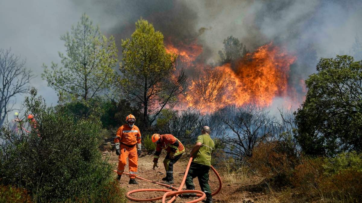 Incendio forestal en Francia. Fuente: (Twitter)