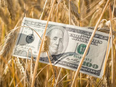 Alivio para el campo: el Gobierno oficializó la baja de retenciones a los principales productos