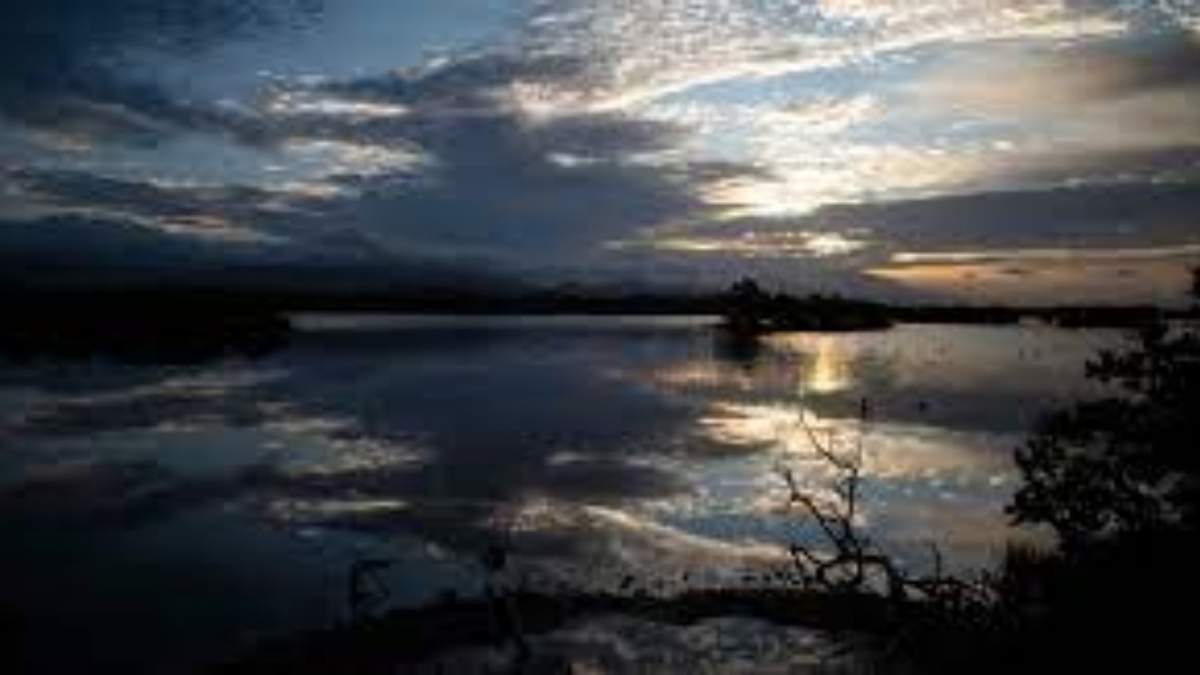 La Reserva Natural de Investigación Estuarina de Bahía de Jobos en Salinas, Puerto Rico