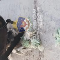 Dos jóvenes fueron demorados cuando intentaron huir con cannabis sativa