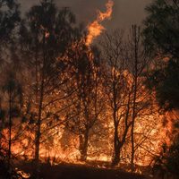 Incendio en California es el segundo más grande en la historia del estado