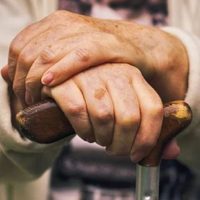 El Gobierno confirmó un aumento del 2,85% en las jubilaciones a partir de febrero