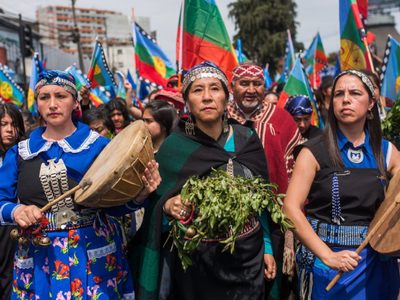 Movilización: organizaciones sociales se manifestarán en defensa de la tierra y del pueblo mapuche