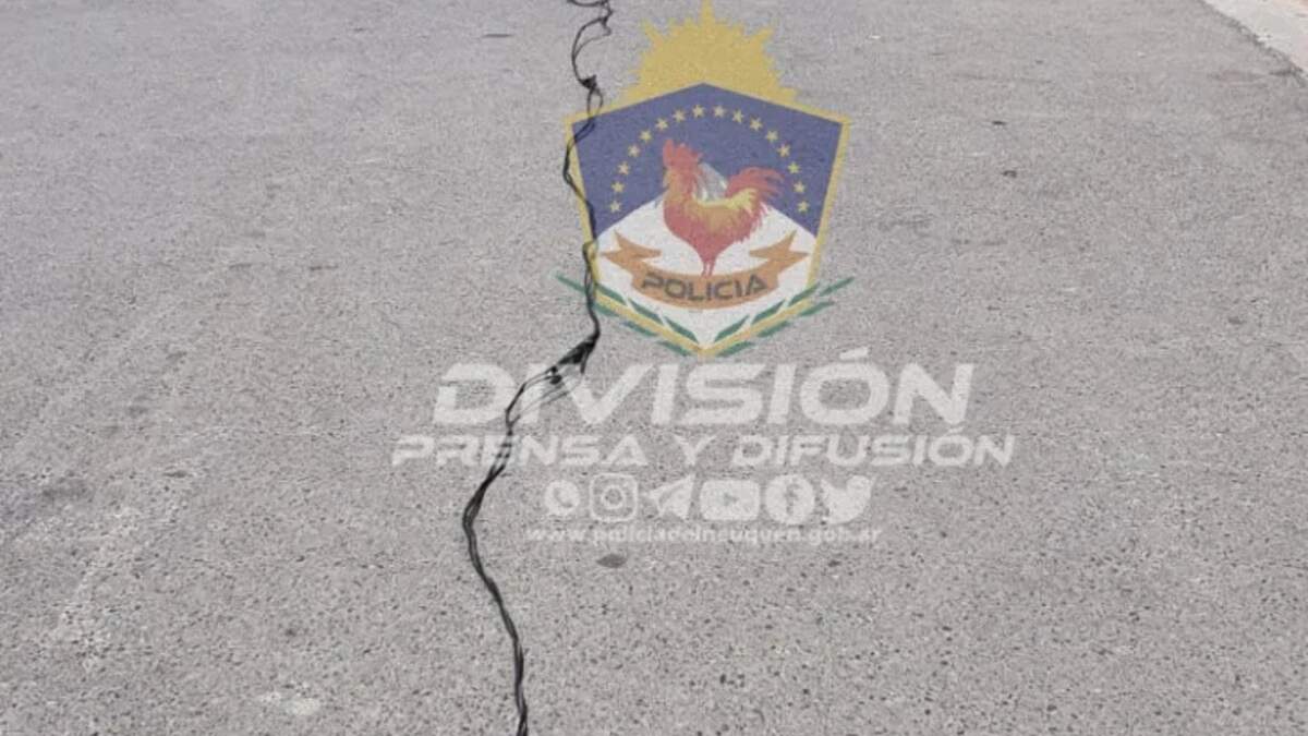 Cables recuperados por la policía. Fuente (Policia Nequén).