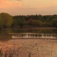 Vecinos de Altos del Limay insisten en frenar los loteos cercanos al río por la afectación de la flora y fauna