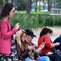El español y la Internet