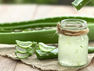 La valiosa planta que tiene miles de propiedades, resiste todo y que podés tener en maceta en cualquier lugar