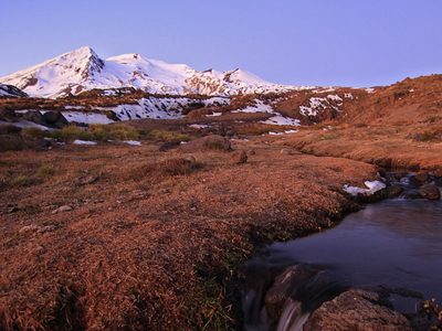 Alerta en el norte neuquino por la inquietante actividad de un volcán chileno