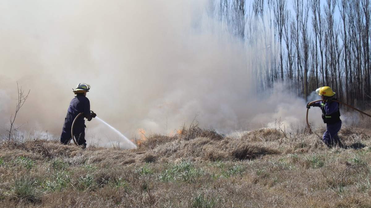 Los incendios se producen en las zonas rurales de Centenario. Fuente: (Twitter)