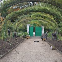 El jardinero de Fundación Monet cuenta cómo cuidan las plantas