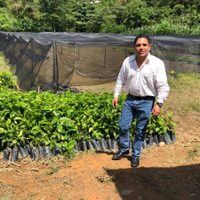 Juez ordena liberar a alcalde de San Felipe Jalapa de Díaz