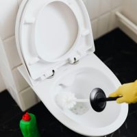Vida natural: elimina el molesto sarro del inodoro