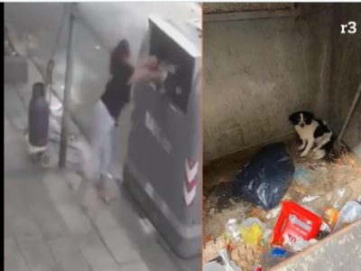 Una mujer fue captada tirando a su perro a la basura