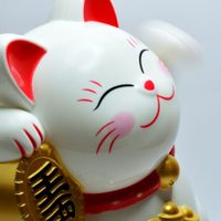 Horóscopo chino: cuál será tu día de suerte en junio, según tu signo del zodiaco
