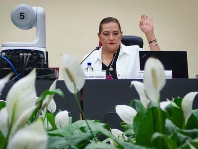 INE reparte bolsa de 10 mil millones para partidos en 2024; ¿cuánto le toca a cada uno?