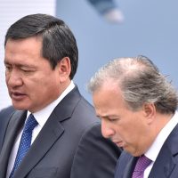 El PRI ya tiene su 'tapado”: Meade