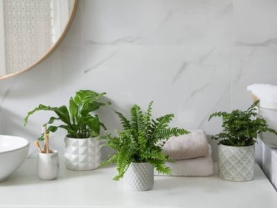 Si querés sumar vida a tu baño, estas ideas de decoración con plantas resistentes al vapor y poca luz son ideales