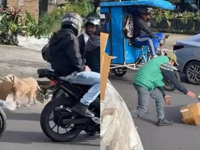 "Firulais reciclador": perrito ayuda a su dueño a recolectar cajas de cartón y conquista las redes | VIDEO