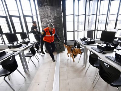 Gobierno federal dona a la UNAM dos perros entrenados para detección de riesgos