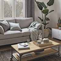 Las plantas que son perfectas para decorar tu living y darle un toque exótico