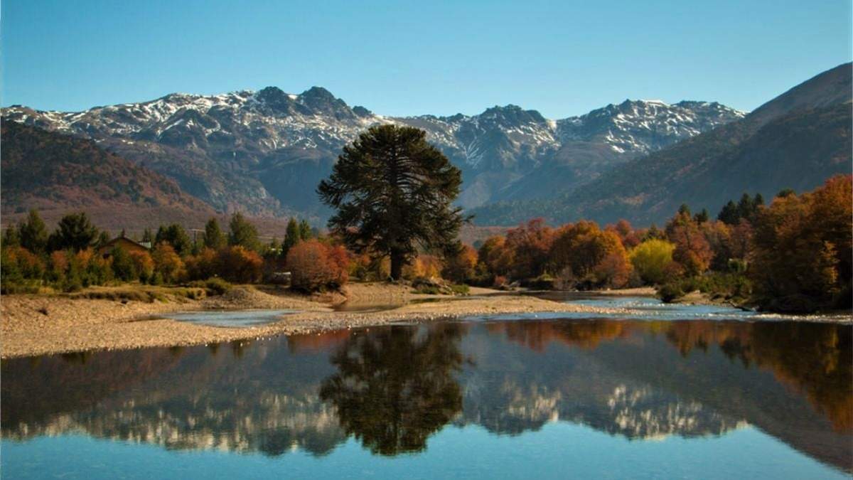 Neuquén. Fuente: (Twitter)