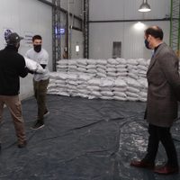 Despacharon 20 toneladas de nueces neuquinas a Italia