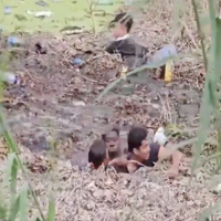 Video capta a migrantes ahogándose al tratar de cruzar de México a EU