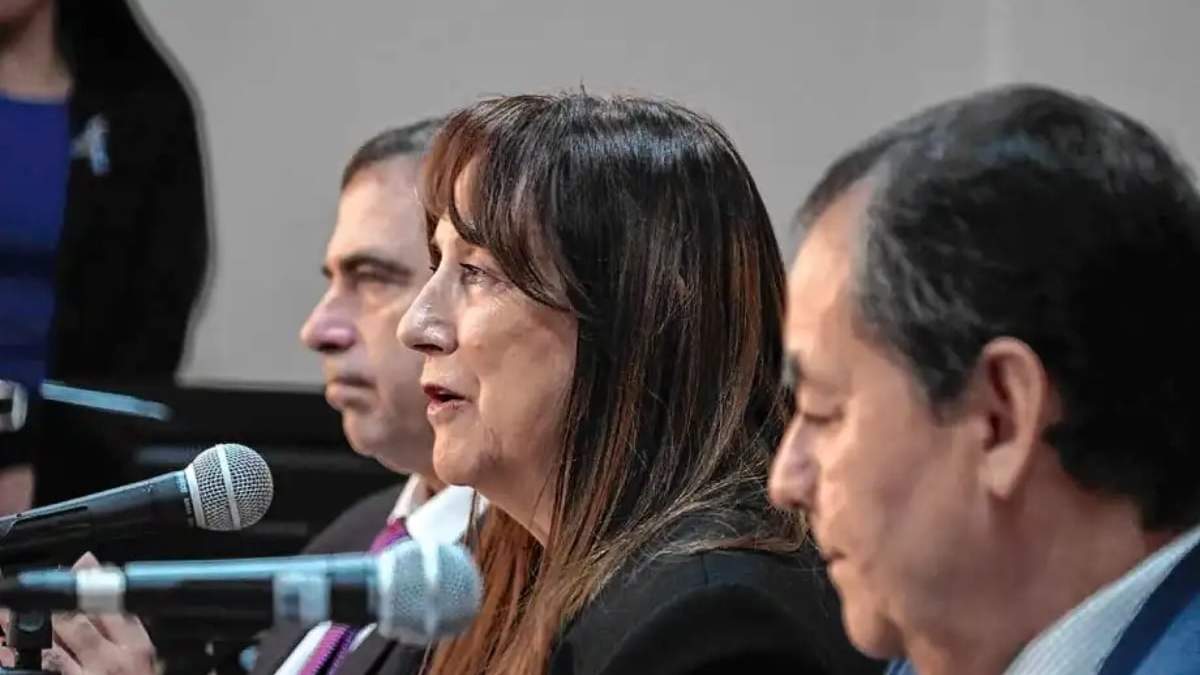 Comenzó la discusión sobre el nuevo Código Procesal de Familia en la Legislatura. Fuente: (Cecilia Maletti)