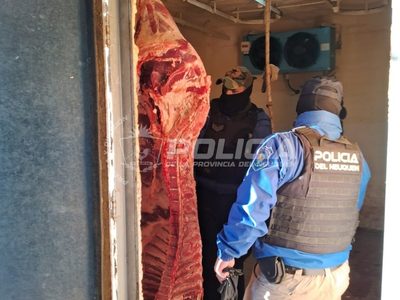 Picún Leufú: clausuraron un matadero clandestino y secuestraron 500 kilos de carne