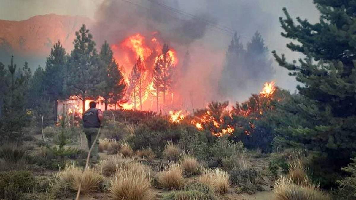 Incendio en El Bolsón. Fuente: (Twitter)