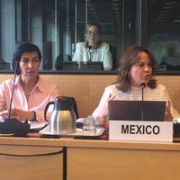 La ONU cuestiona esfuerzos de México para erradicar la práctica "endémica" de la tortura