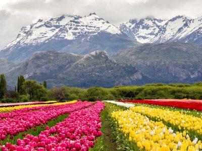 Imperdible lugar en Chubut: todo lo que tenés que saber de Trevelin