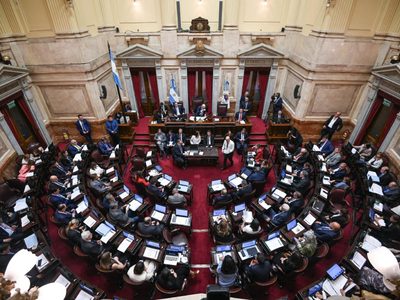 Los libertarios votarán a favor de Ficha Limpia