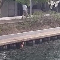Dos hombres se meten a nadar a zona de cocodrilos en Tampico; son detenidos
