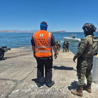 Rescatan a ballena jorobada que estaba enmallada en redes de pesca en Baja California (Video)