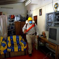 Perla Woolrich reprocha “valemadrismo” del gobierno oaxaqueño por incremento en casos de dengue