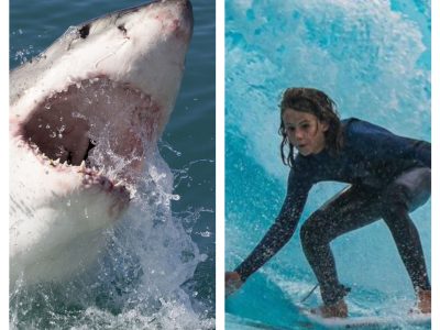 Surfista australiano Khai Cowley murió tras ser atacado por un tiburón