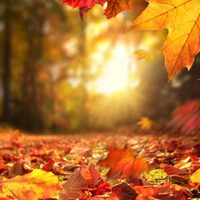 Comenzó el otoño: los mejores destinos de Argentina para visitar durante esta estación
