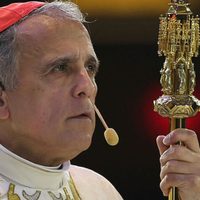 'Catástrofe moral para la Iglesia católica, las revelaciones de abusos sexuales”: obispos de EU