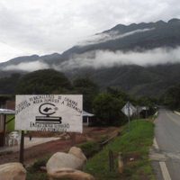 Hallan muerta a la maestra Berni Flor Mejía, sustraída de un colegio de Bachilleres en Chiapas